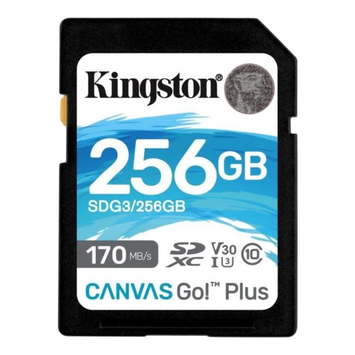 SD Card Kingston
