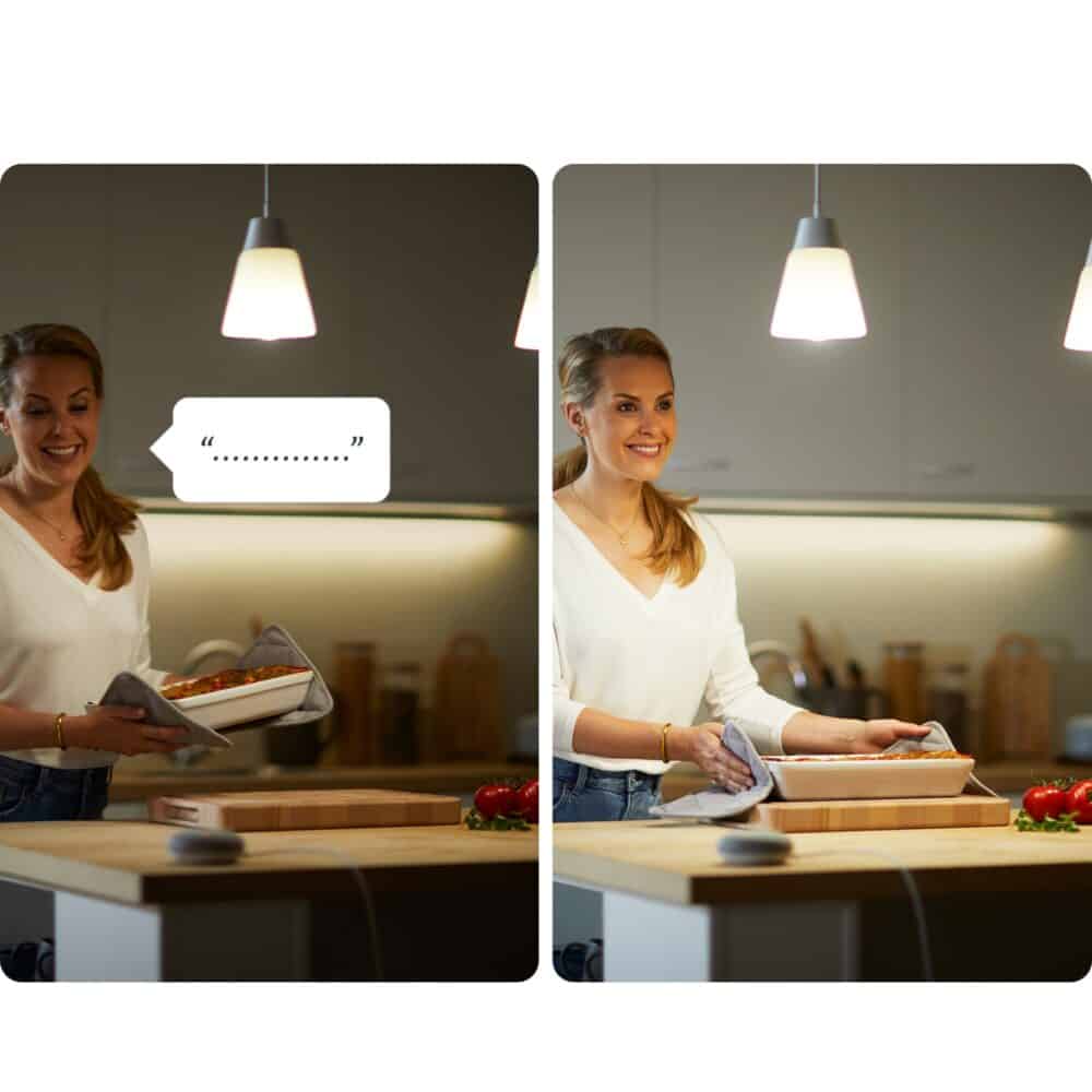 compatibil Google Assistant/Alexa/Siri
