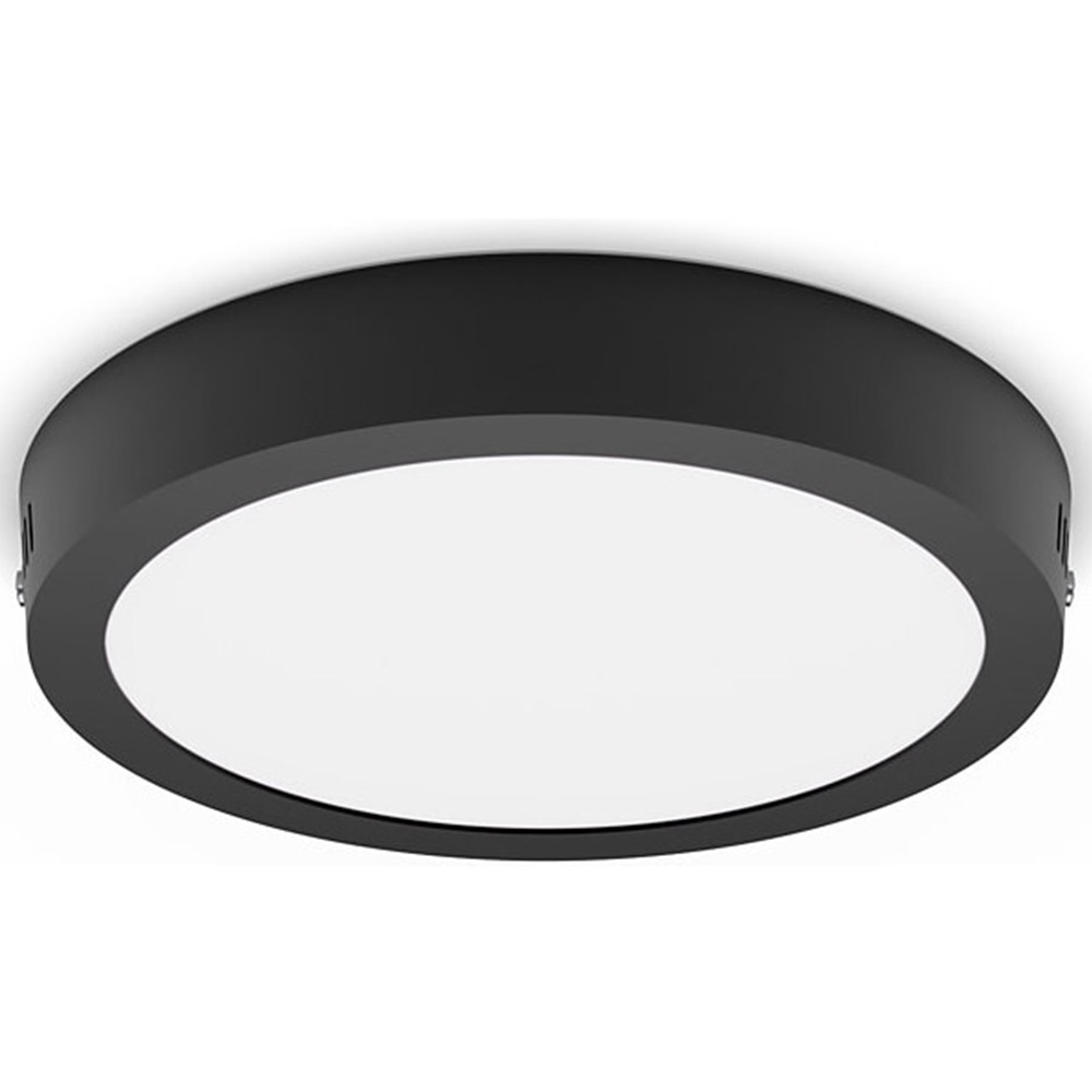 Corp Iluminat Philips Magneos DL252, 12W, 1150 lm, Lumina calda, IP20, 21cm, Negru, 000008719514328693
