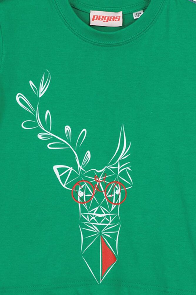 TRICOU  CERB FAMILIE COPII   K GREEN-12