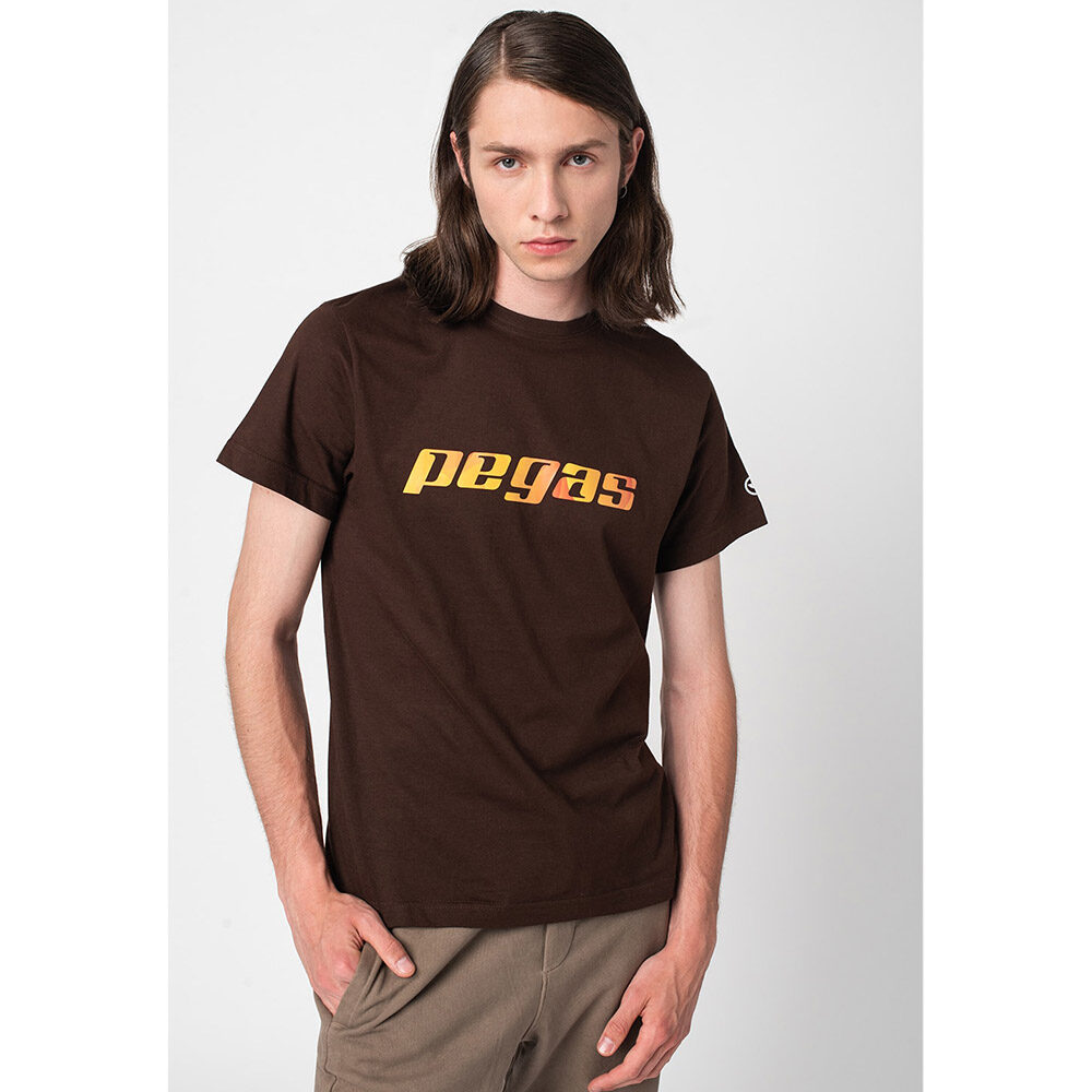 Tricou bumbac Pegas Coffee, imprimeu logo, barbati, marimea L, maro, PS2122-00-1-LO-L