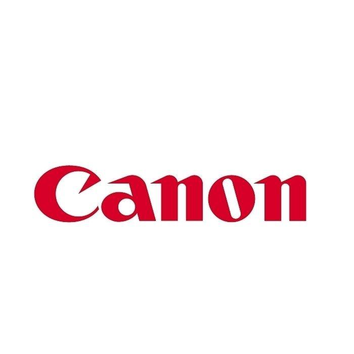 Cartus cerneala Canon GI-41Y