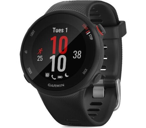 Ceas Smartwatch Garmin Forerunner 45