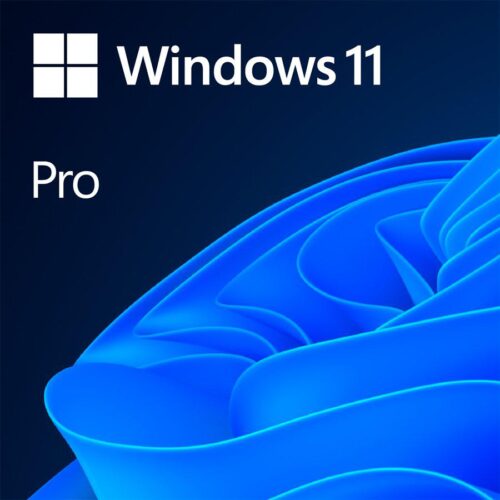 Licenta OEM Microsoft Windows 11 Pro 64 bit Romanian