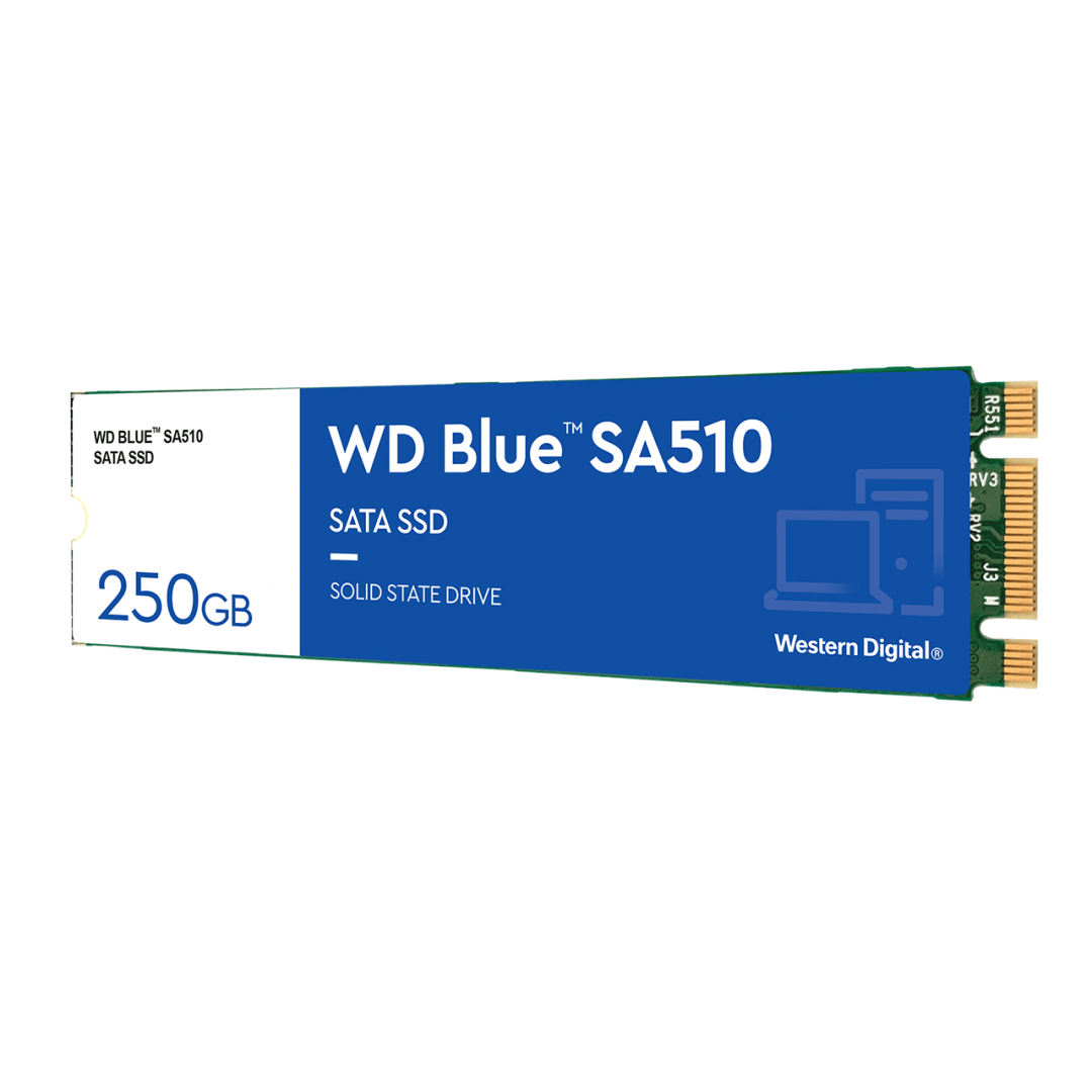 SSD WD Blue