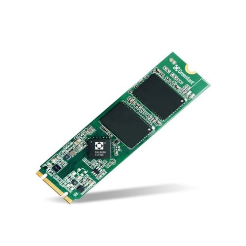 Solid State Drive (SSD) M.2 SATA 256GB