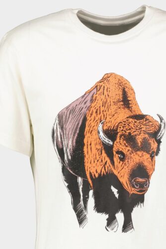 TRICOU ZIMBRU S