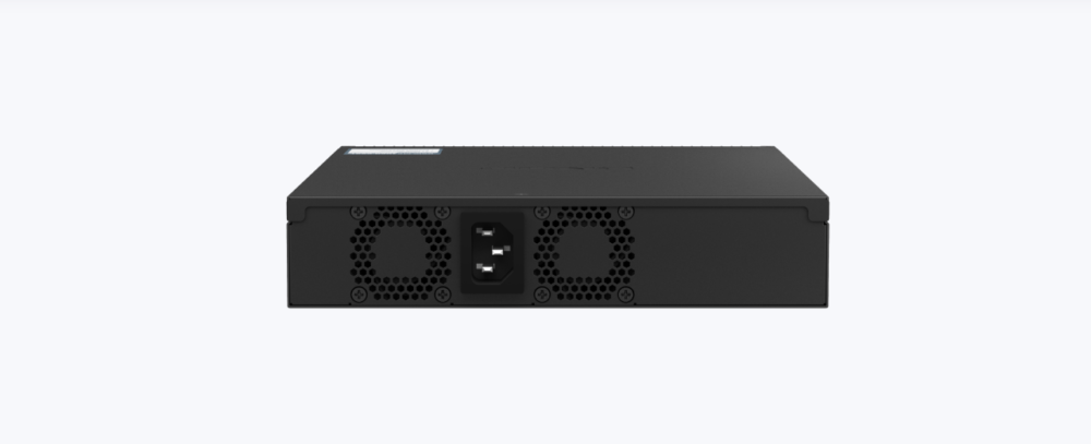 6 porturi 2.5Gbps