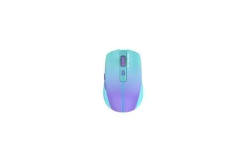 Mouse Serioux Flicker 212