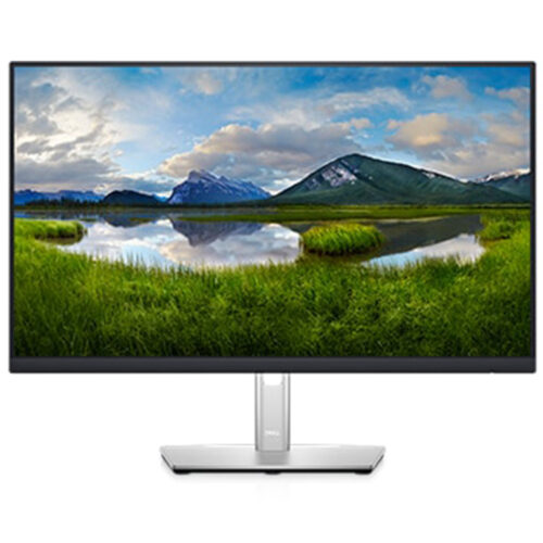 Monitor LED Dell P2424HEB, 24 inch, 1920x1080