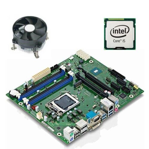 Kit Placa de Baza Fujitsu D3401-B11 GS1