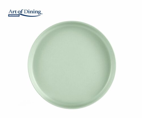 SET 6 FARFURII INTINSE CERAMICA 27 CM