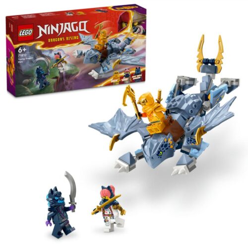 TANARUL DRAGON RIYU