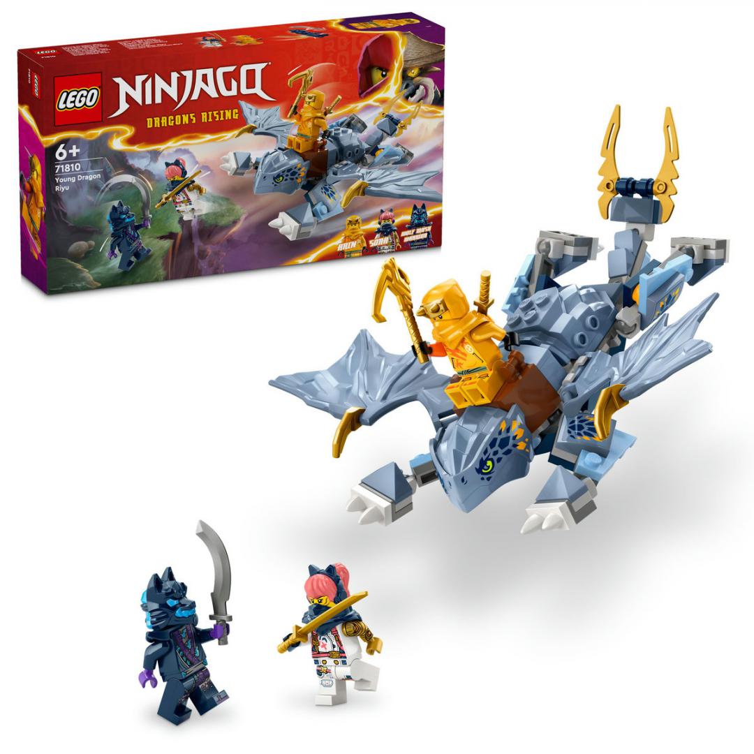 TANARUL DRAGON RIYU