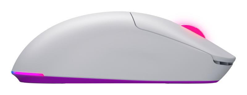 conectivitate 2.4GHz