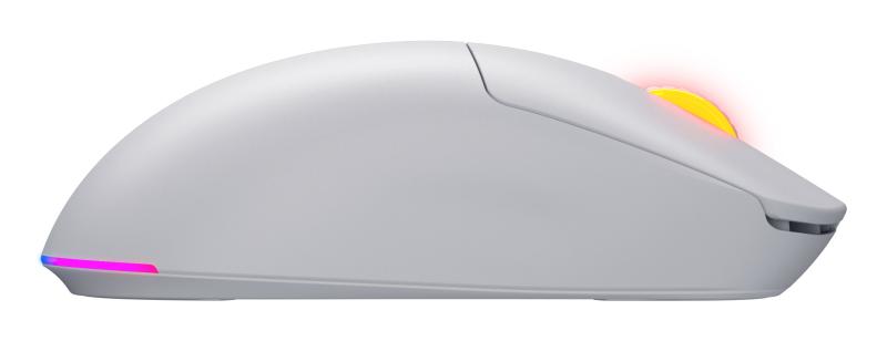 conectivitate 2.4GHz