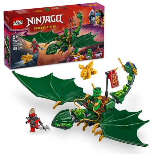 DRAGONUL DE PADURE AL LUI LLOYD