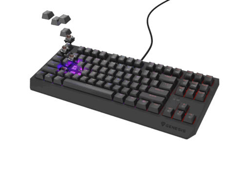 Tastatura gaming mecanica cu fir Genesis Thor 230 TKL