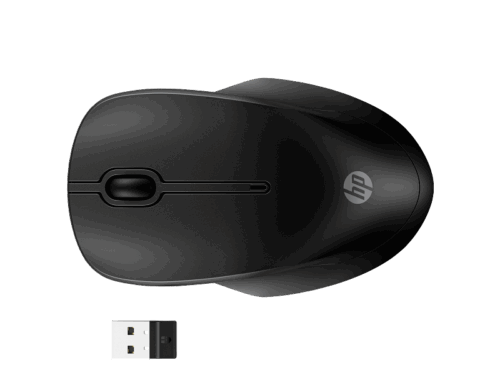 HP MOUSE 255 Dual Wireless