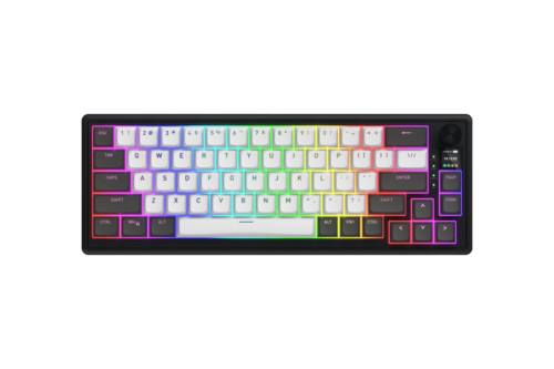 HATOR Skyfall Pro Wireless 65. Keyboard form factor: 65%. Keyboard style: Straight. Connectivity technology: Wired & Wireless