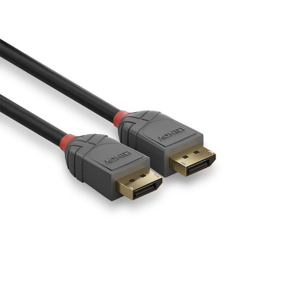 DisplayPort 1.2 Cable