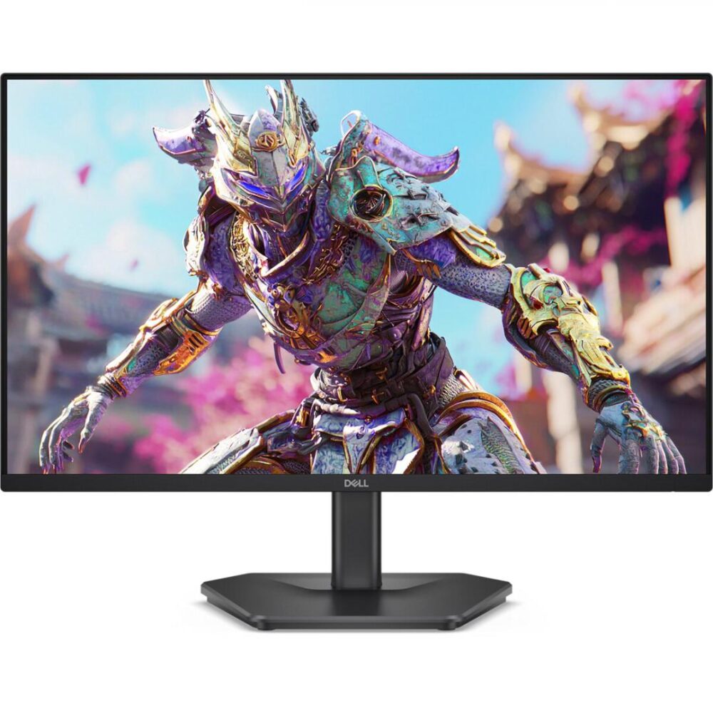 Monitor Dell SE2426HG 23.8" 60.47 cm